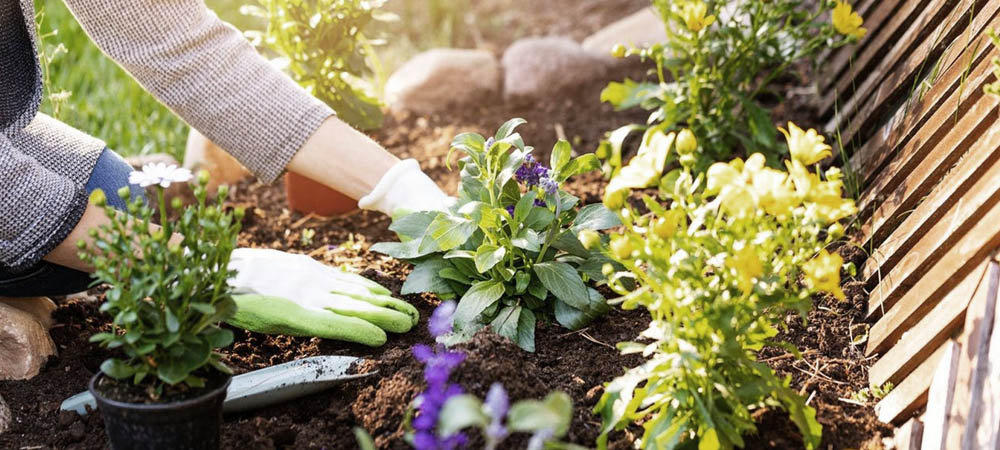 Working on Interpersonal Relationships